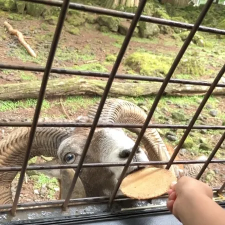 4年ぶりの富士サファリ！