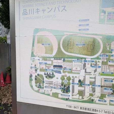 クジラは毎週土曜日に見学可、ミュー...