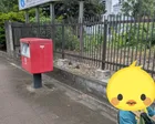 クジラは毎週土曜日に見学可、ミュー...