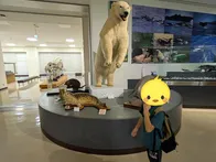 クジラは毎週土曜日に見学可、ミュー...