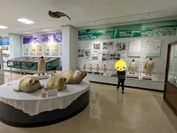 クジラは毎週土曜日に見学可、ミュー...