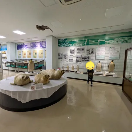 クジラは毎週土曜日に見学可、ミュー...