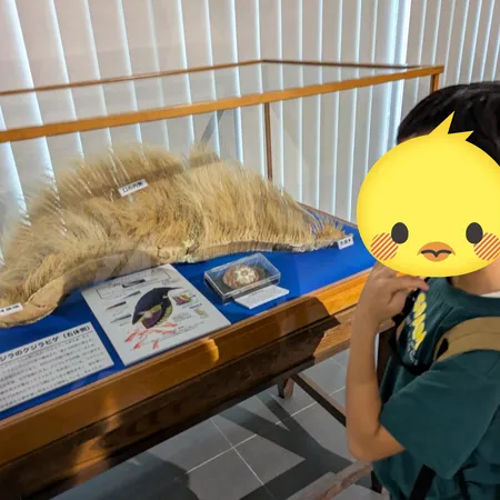 クジラは毎週土曜日に見学可、ミュー...