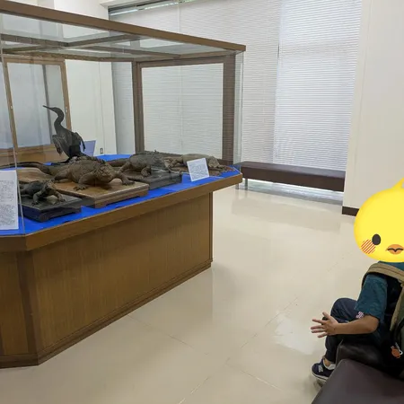 クジラは毎週土曜日に見学可、ミュー...