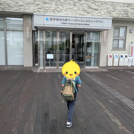 クジラは毎週土曜日に見学可、ミュー...