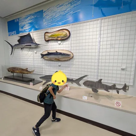 クジラは毎週土曜日に見学可、ミュー...