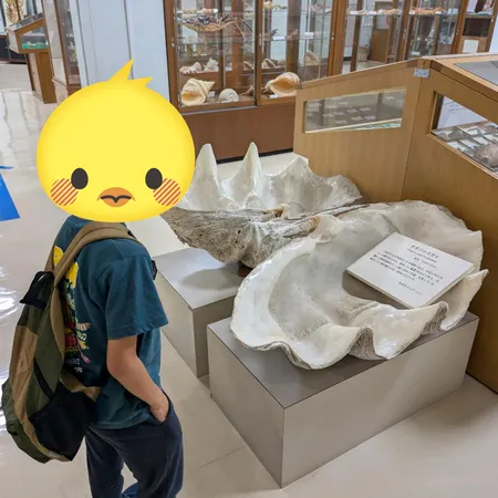 クジラは毎週土曜日に見学可、ミュー...