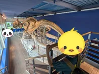 クジラは毎週土曜日に見学可、ミュー...