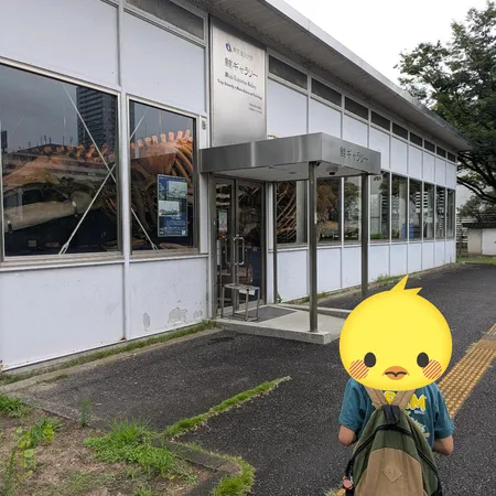 クジラは毎週土曜日に見学可、ミュー...