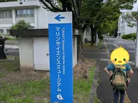 クジラは毎週土曜日に見学可、ミュー...
