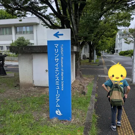 クジラは毎週土曜日に見学可、ミュー...