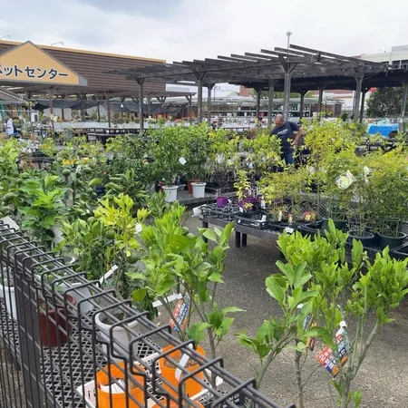 駐車場もたっぷりあり、植物🪴を買い...
