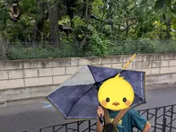 大田区立龍子記念館の前にあり、記念...