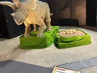恐竜展2026にいきました。