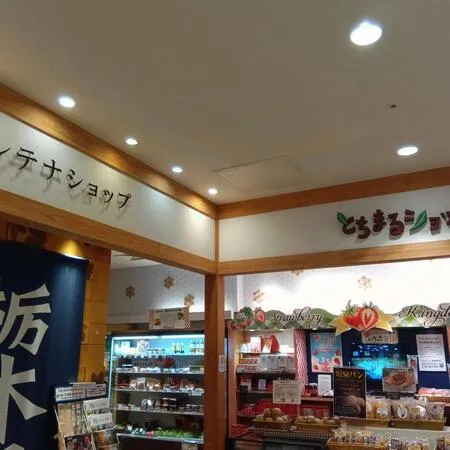 餃子、苺が有名な栃木県のアンテナシ...