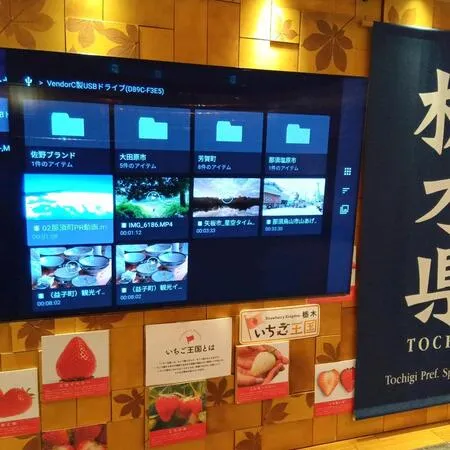 餃子、苺が有名な栃木県のアンテナシ...
