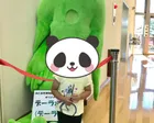 展望室からの眺めがとても良いです。