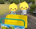 無料でおもしろ自転車が乗れます！