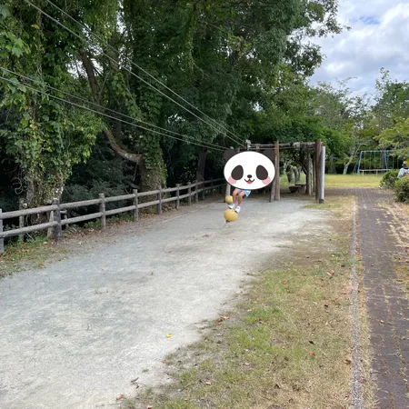 無料でおもしろ自転車が乗れます！