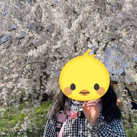 枝垂桜がとてもきれいです。とで見応...