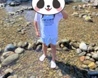 噴水、小川、遊具（夏は水をたくさん...