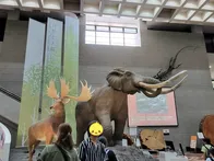 息子と初めての博物館。予想していた...