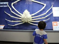 息子と初めての博物館。予想していた...