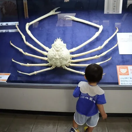 息子と初めての博物館。予想していた...
