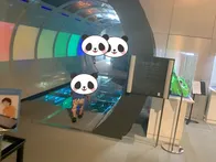 宇宙から動く恐竜までしっかり見て楽...