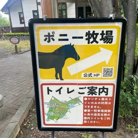 洞窟探検するならヘルメット持ってい...