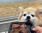 波が穏やかなので、犬とゆっくりお散...