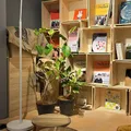 絵本、本がたくさんあるお店です。わ...