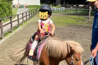 1歳から親子乗馬はしていましたが、...