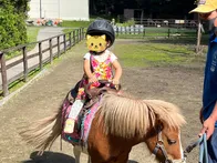 1歳から親子乗馬はしていましたが、...