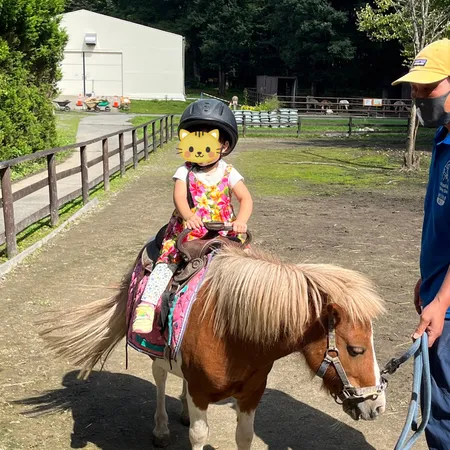 1歳から親子乗馬はしていましたが、...