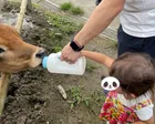 こちらで牧場の牛乳と引き換えが出来...