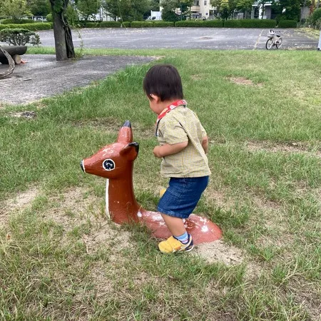アスレチックすべり台がある公園です...