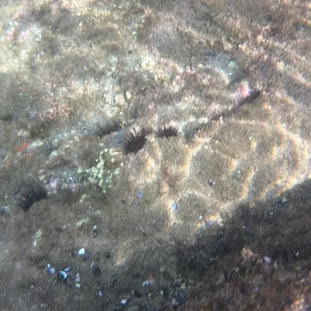 海のアスレチックといえば、1時間程...