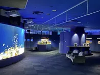 アルパークに最近できた都市型水族館です。