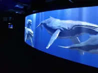 アルパークに最近できた都市型水族館です。