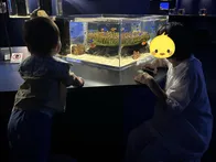 アルパークに最近できた都市型水族館です。