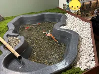 アルパークに最近できた都市型水族館です。