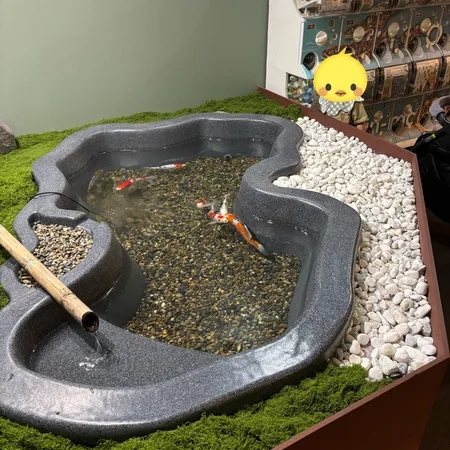 アルパークに最近できた都市型水族館です。