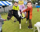 動物愛護フェスティバルのポニー乗馬...