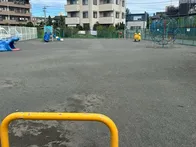 遊具がある公園です。木などないので...