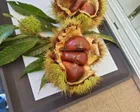 シルバーウィークに訪れました。