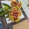 シルバーウィークに訪れました。