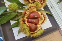 シルバーウィークに訪れました。