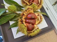 シルバーウィークに訪れました。