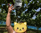 お盆少しすぎの時期（平日）に行きました。